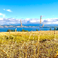 Jens Magne Grøn Hensvold